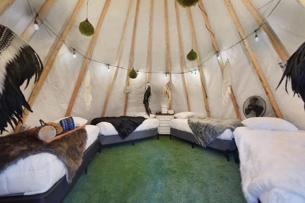 Enchanted Forest Cabin And Teepee! Lights & Laser Show! Private Hot Tub! Unique Stay! Sevierville Exteriér fotografie