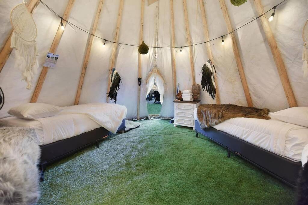 Enchanted Forest Cabin And Teepee! Lights & Laser Show! Private Hot Tub! Unique Stay! Sevierville Exteriér fotografie